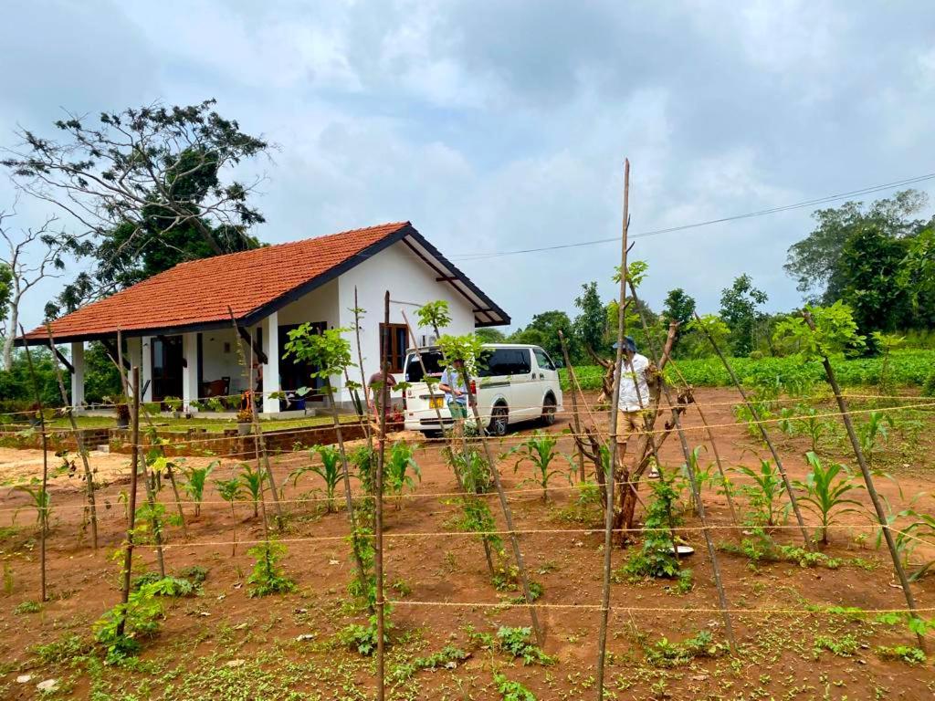 Moni Farm House Wilpattu Nochchiyagama Esterno foto