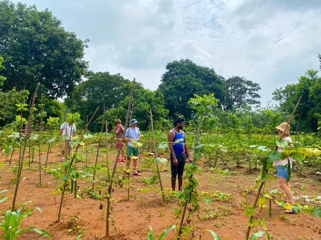 Moni Farm House Wilpattu Nochchiyagama Esterno foto