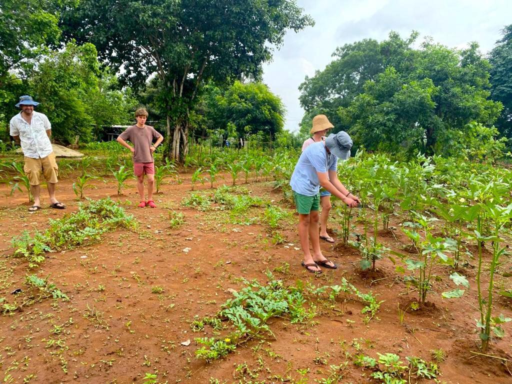 Moni Farm House Wilpattu Nochchiyagama Esterno foto