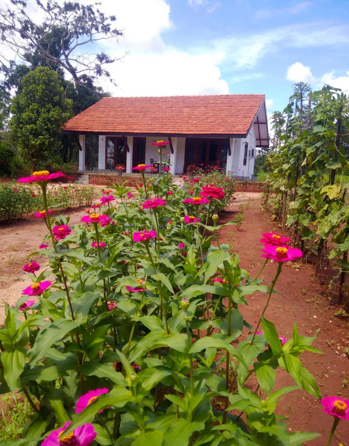 Moni Farm House Wilpattu Nochchiyagama Esterno foto