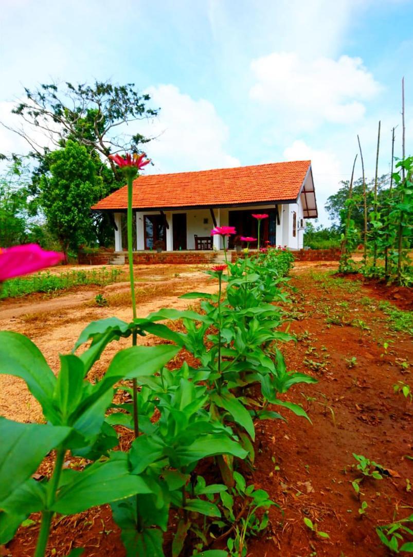 Moni Farm House Wilpattu Nochchiyagama Esterno foto