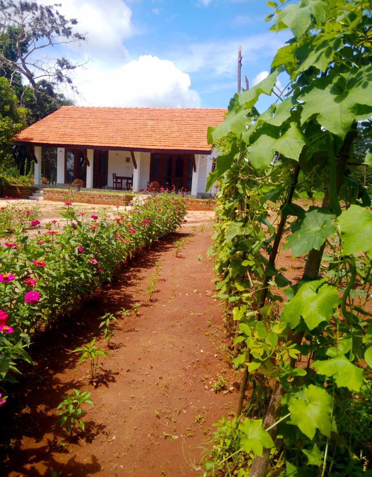 Moni Farm House Wilpattu Nochchiyagama Esterno foto