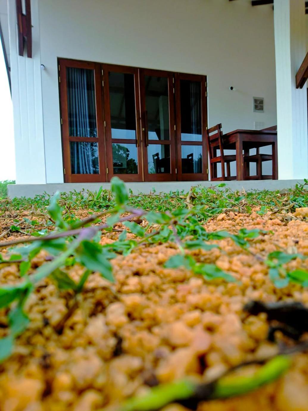 Moni Farm House Wilpattu Nochchiyagama Esterno foto